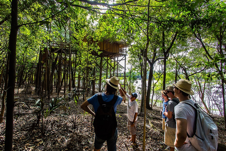Hotel Juma Amazon Lodge, na selva amazônica, finalmente reabre 3